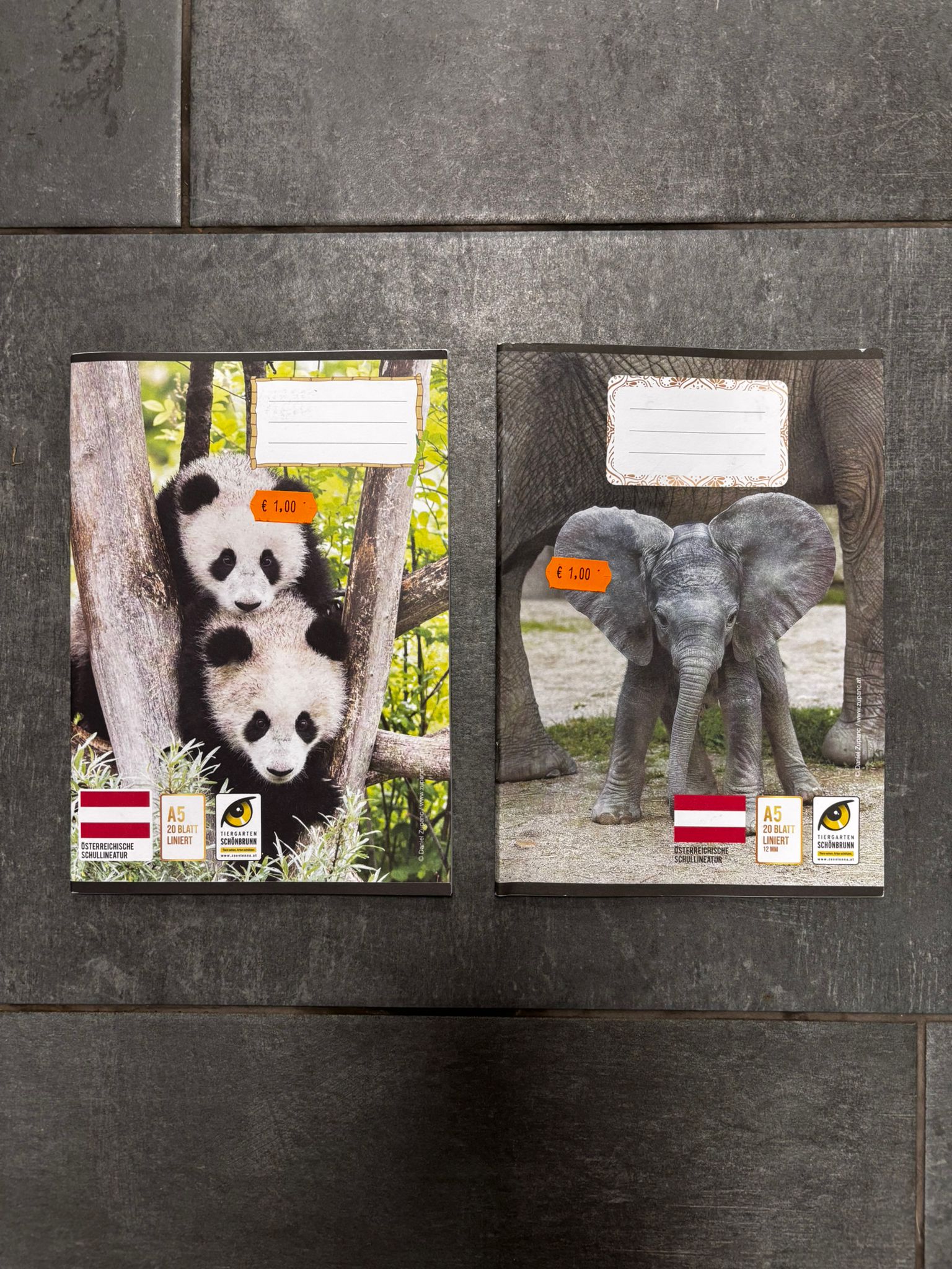 Quaderni a righe, panda o elefante