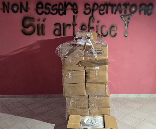 STOCK DI PIATTI DI PLASTICA 20 UNITÀ, 3 CARTONI 180 PEZZI